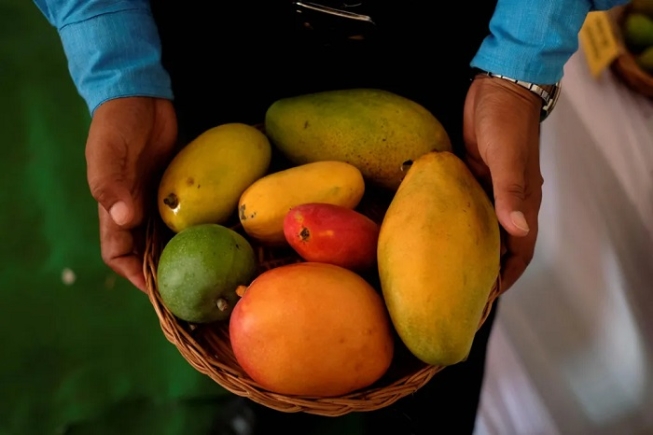 There are over 1,000 varieties of mango grown in India