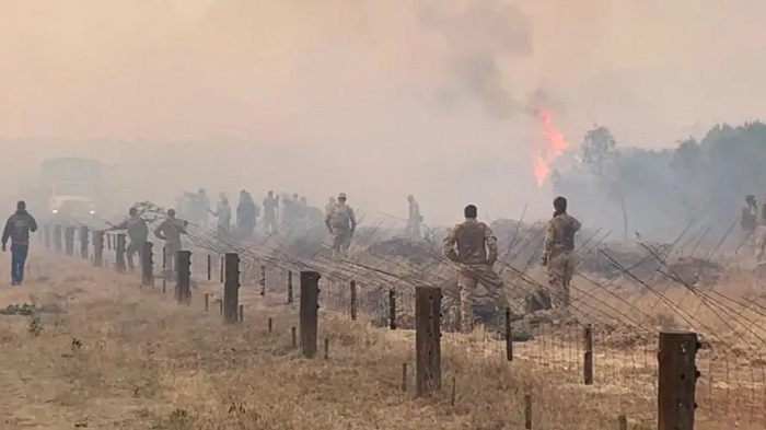 The fire that broke out in March 2021 destroyed almost a quarter of the Lolldaiga conservancy