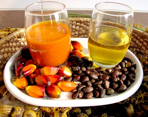 Palm kernel oil, meal shell 