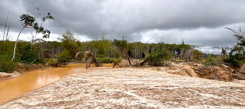 A vast area of a rubber plantation degraded as a result of illegal mining activities