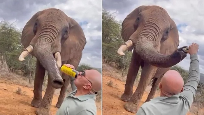 The videos posted to Instagram were removed following a backlash from Kenyans in the comments