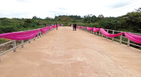 The newly constructed bridge The newly constructed bridge