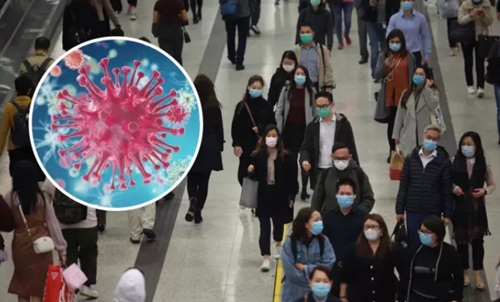 HMPV: China's new virus outbreak explained