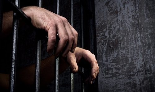 Hunter jailed 24 months for stealing  
