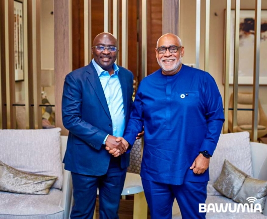 UN Resident Coordinator calls on Bawumia to deliver UN message