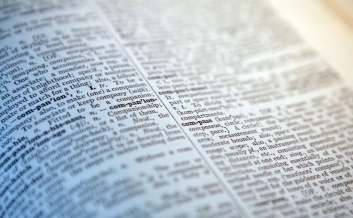 ‘Skibidi’, ‘delulu’ and ‘tradwife’ among words added to Cambridge Dictionary