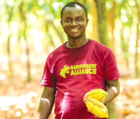 A cocoa farmer