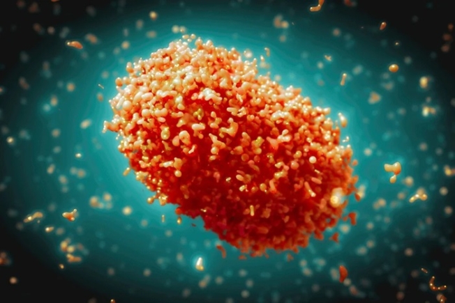 GHS confirms seven new Mpox cases, total rises to 170