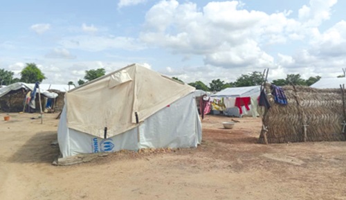A section of the Zini Camp A section of the Zini Camp