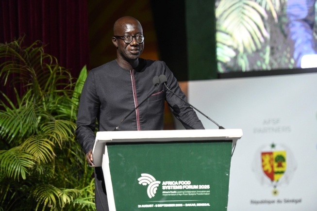 Africa Food Systems Summit to be held in Senegal this August; 6,000+ global food systems stakeholders expected