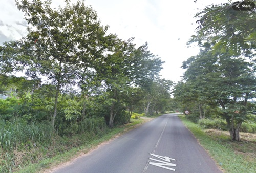 A section of the Mamfe Kwamoso road with tree along both sides