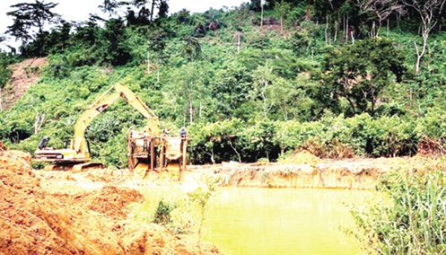 Polutted lands, forests, rivers and the environment