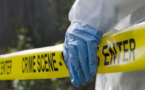 According to police, the suspect was taken into custody on Tuesday after he allegedly confessed to burying his sister, aged 44, in the yard at his home