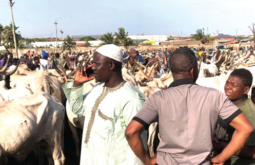 Traders and buyers at work at the Turaku Livestock Market