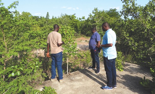 Officials of GETFund inspecting the proposed site of the Bole College of Education