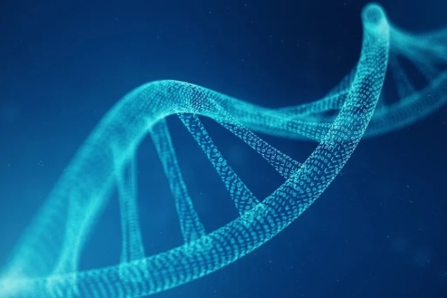Artwork: The aim is to build sections of human DNA from scratch
