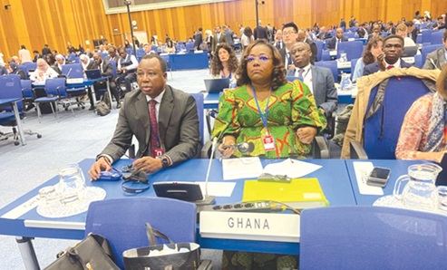 Nana Oye Bampoe Addo, a Deputy Chief of Staff, and Joseph Whittal, Commissioner of CHRAJ, at the UN anti-corruption summit in Vienna