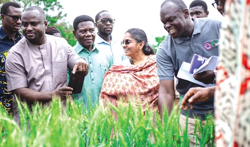 Saalai Manikam (2nd from right), Managing Director of Arima Farms, with some officials from the CSIR during the field event
