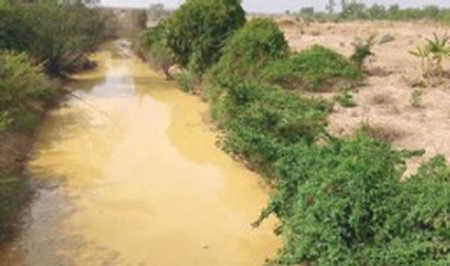 The current state of the popular Tain  River,  which has turned yellowish