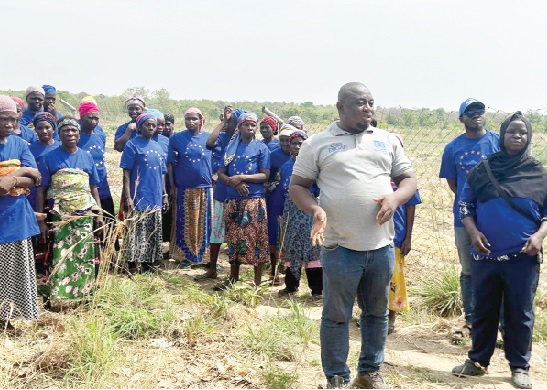 Abdul Salam Alhassan, Community Mobilisation Vegetable Expert, explaining the work on the farm to the EU delegation