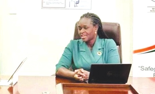 Prof. Nana Ama Browne Klutse — Acting Executive Director of the Environmental Protection Agency