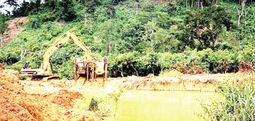 Polutted lands, forests, rivers and the environment