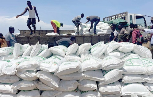 Fertilizer being offloaded for the vegetable farmers