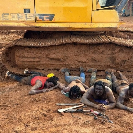 Galamsey destroys over 60,000 hectares forest land — Study