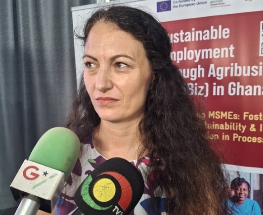 Ghana's agribusiness sector poised for growth — Trade Ministry