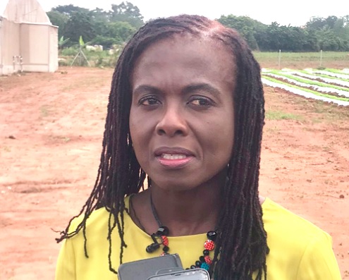 Adjoa Afriyie Wiafe, Corporate service executive, MTN Ghana