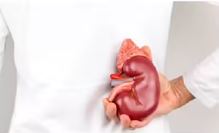 With poor lifestyle, genes, or age, kidney function can becomes severely impaired, leading to Chronic kidney disease (CKD)