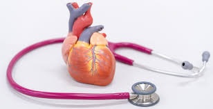 Keeping your heart healthy is vital for overall well-being