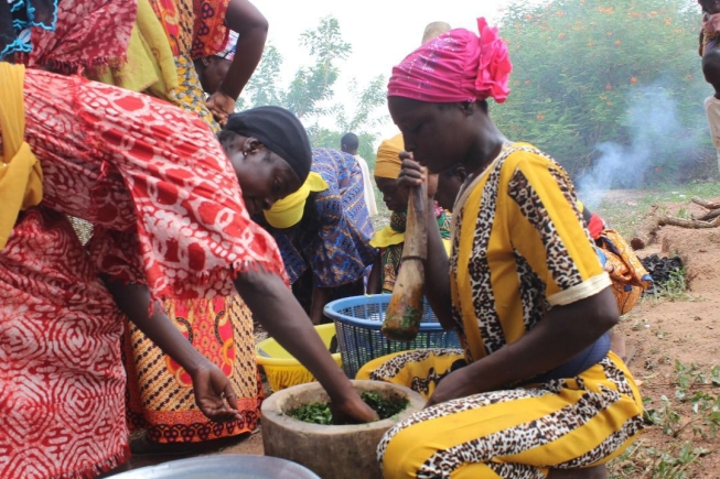 Northern Region: Kinvia, RAINS promote healthy eating among rural families on World Food Day 