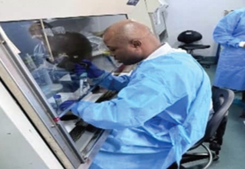 A veterinary doctor at work