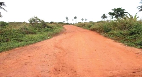 An untarred street in the college An untarred street in the college