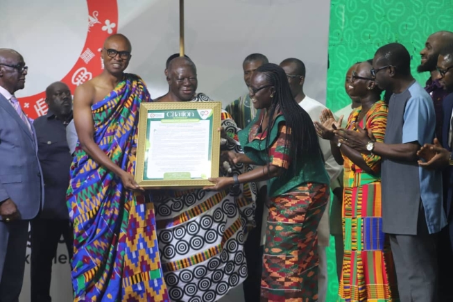 Invest in training and deployment of pharmacists – Asantehene urges government