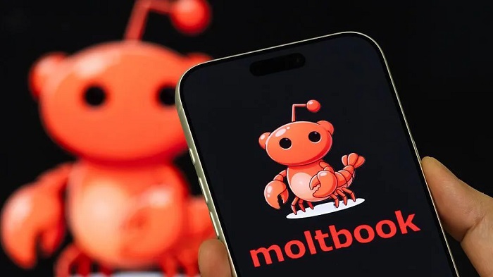 What is the 'social media network for AI' Moltbook?