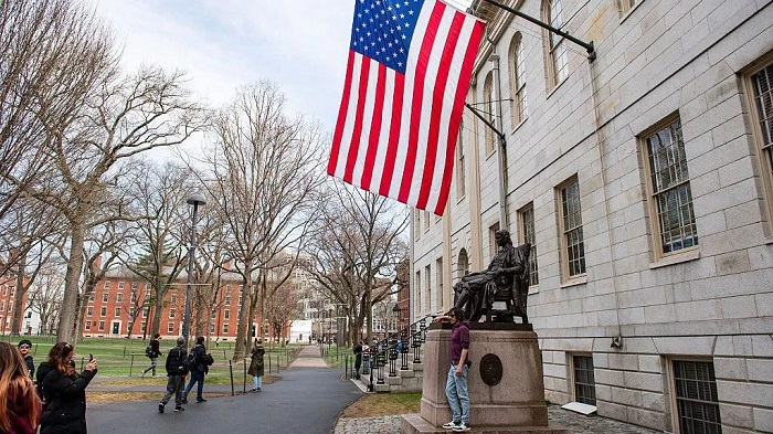 Pentagon ends academic ties with Harvard over its 'woke ideology'