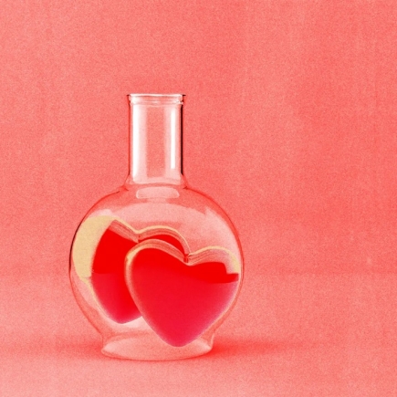 The science of soulmates: Is there someone out there exactly right for you?