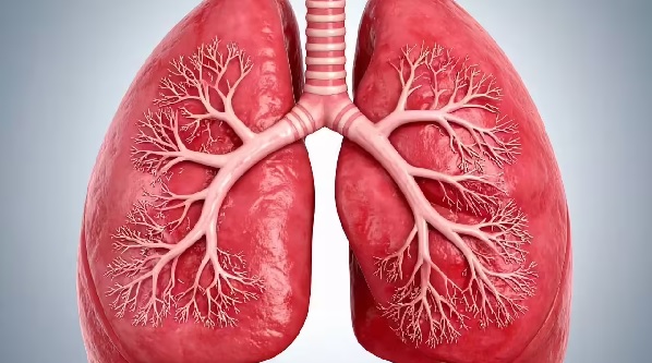Healthier lungs