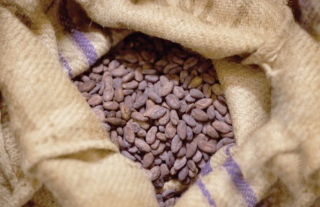 A sack of cocoa 