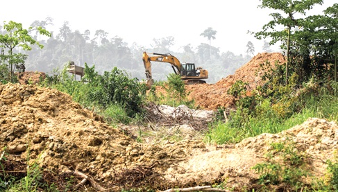 Illegal miniers continue to destroy the Oda River Forest Reserve. Illegal miniers continue to destroy the Oda River Forest Reserve.
