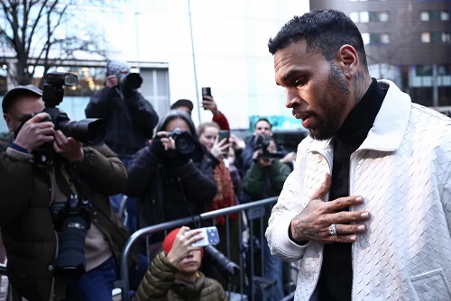 Jury says Chris Brown owes housekeeper $13 Million for disfigurement in dog mauling attack