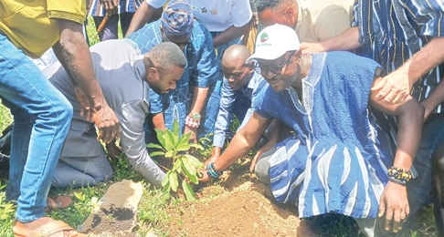 Damango Wura Seidu Kelly Boresa I(middle),  Paramount Chief of Damongo Traditional Area being assisted by Senyo Kpelly (right), Co-Director of Eco Restore, Rich Kofi Kofitua (2nd from left), Deputy CEO of TCDA, to plant a tree seedling