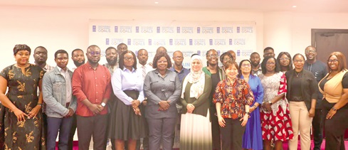 Shaima Hussein (6th from right), UNDP Deputy Resident Representative, with participants after the launch of the report
