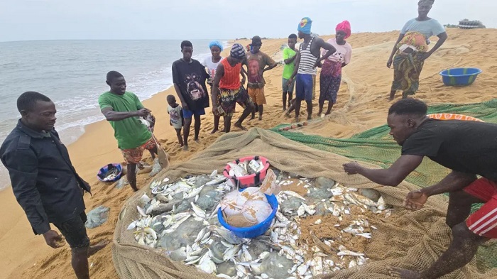 Fishermen on Sierra Leone's Sherbo Island say their catches have fallen