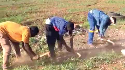 Some farmers in the Dagliga weeding their farm amid dust due to the prolonged dry spell Some farmers in the Dagliga weeding their farm amid dust due to the prolonged dry spell