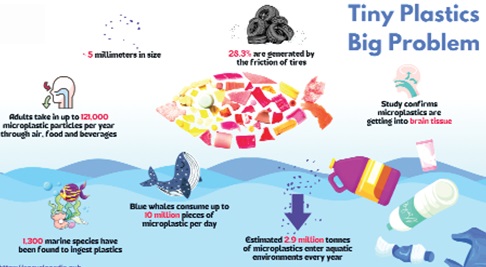 Diagram microplastics 