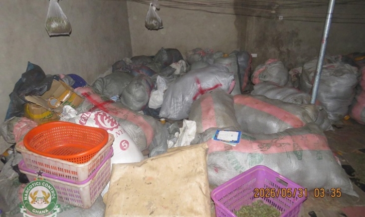 Volta Region drug raid yields suspected cannabis worth GH¢1.18m