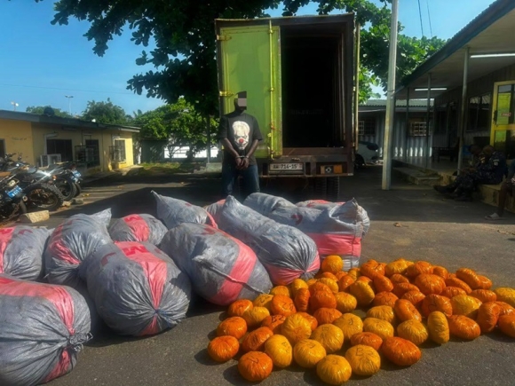 Police seize 12 sacks, 80 parcels of suspected Indian hemp on Tema-Ada road